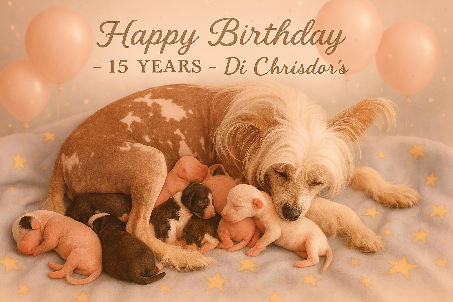 15_Jahre_Dichrisdors