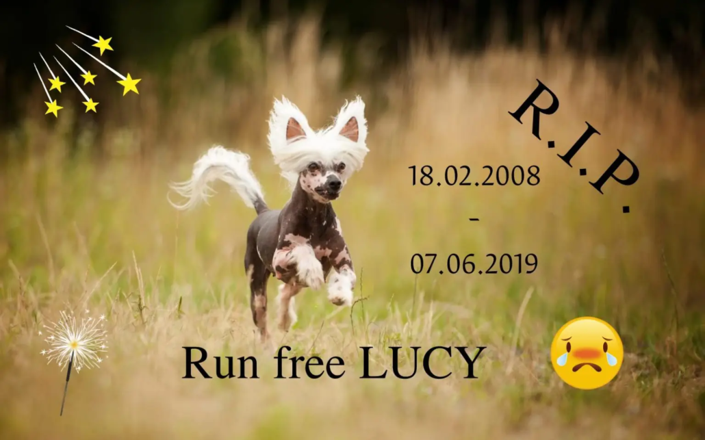 Lucy_Erinnerung-1536x959